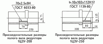 Присоединительные размеры полого тихоходного вала 1Ц3У-200 